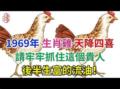 1969五行 兩隻狗 習俗